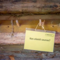Kes-elasid-saunas