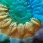 b93387c1511cb4c439d8fd5921479a67